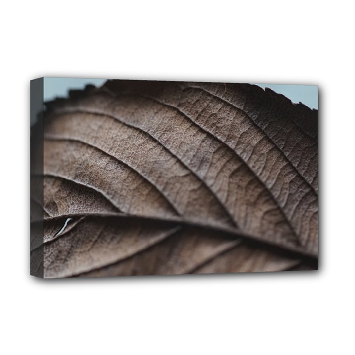 Leaf Veins Nerves Macro Closeup Deluxe Canvas 18  x 12  (Stretched)