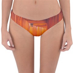 Architecture Art Bright Color Reversible Hipster Bikini Bottoms by Amaryn4rt