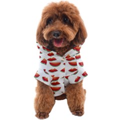 Summer Watermelon Pattern Dog Coat by Dutashop