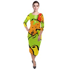 Fruit Food Wallpaper Quarter Sleeve Midi Velour Bodycon Dress by Dutashop