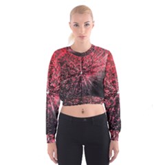 Abstract Background Wallpaper Cropped Sweatshirt