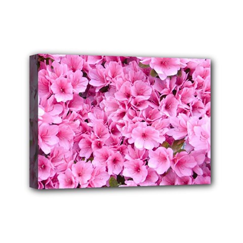 Beautiful Tree Flowers Mini Canvas 7  X 5  (stretched)