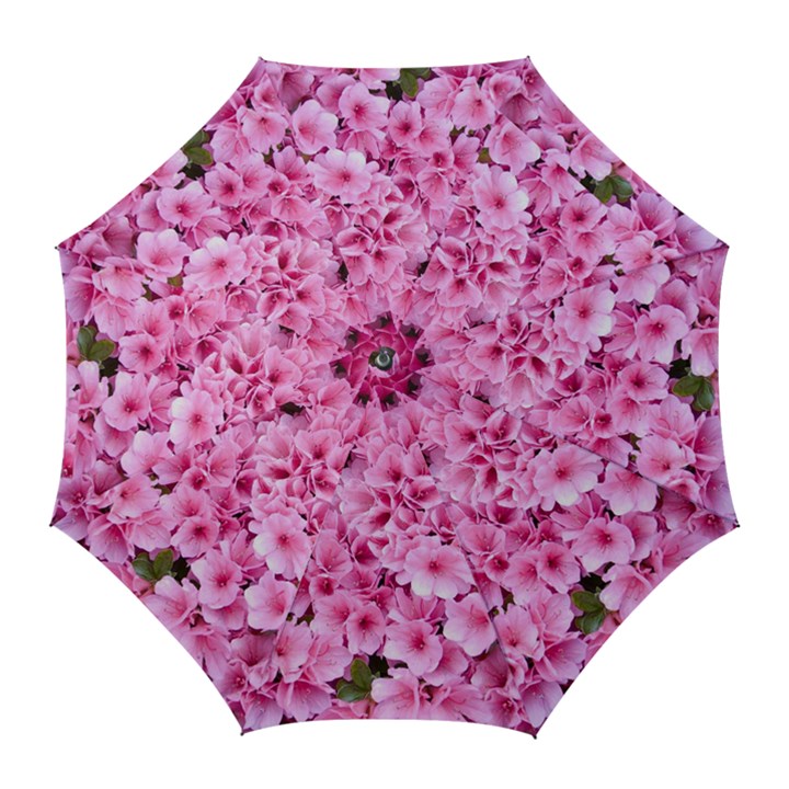 Beautiful tree flowers Golf Umbrellas