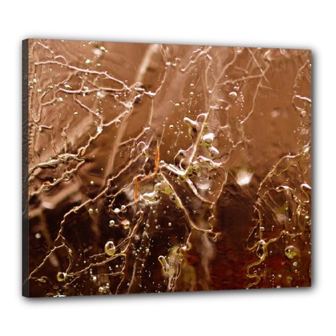 Ice Iced Structure Frozen Frost Canvas 24  X 20  (stretched) by Amaryn4rt