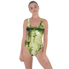 Building Potted Plants Bring Sexy Back Swimsuit by Ravend