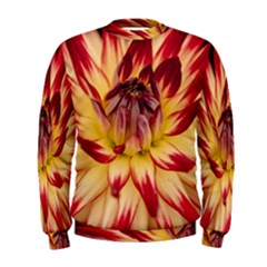 Bloom Blossom Close Up Flora Men s Sweatshirt