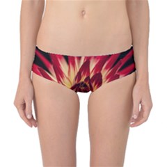 Bloom Blossom Close Up Flora Classic Bikini Bottoms by Amaryn4rt