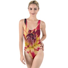 Bloom Blossom Close Up Flora High Leg Strappy Swimsuit by Amaryn4rt