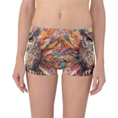 Drawing Olw Bird Reversible Boyleg Bikini Bottoms by Ravend