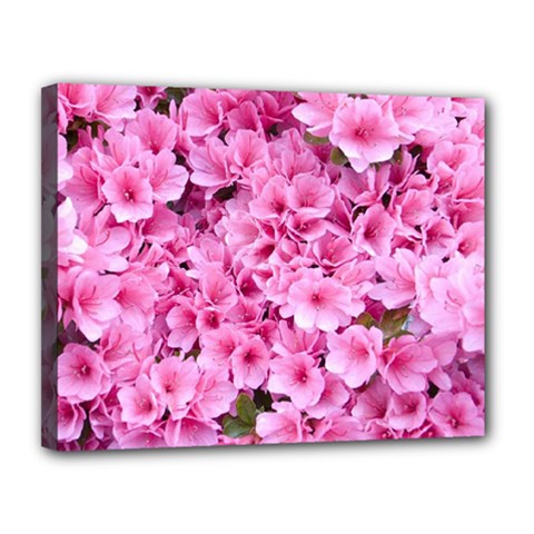 Beautiful Tree Flowers Canvas 14  X 11  (stretched) by 1212