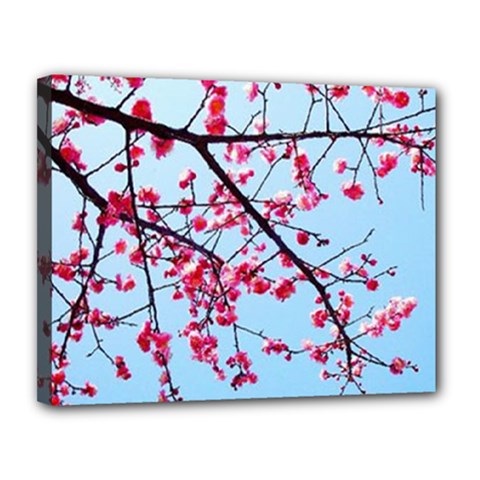 Beautiful Tree Flowers Canvas 14  X 11  (stretched) by 1212