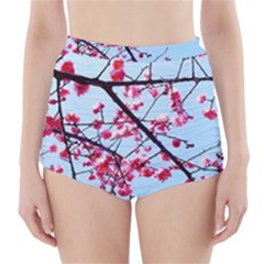 Beautiful Tree Flowers High-waisted Bikini Bottoms by 1212