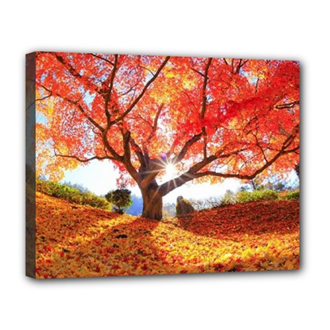 Beautiful Tree Flowers Canvas 14  X 11  (stretched) by 1212