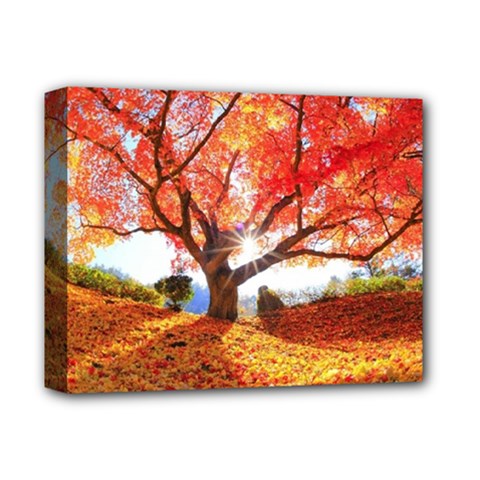 Beautiful Tree Flowers Deluxe Canvas 14  X 11  (stretched) by 1212