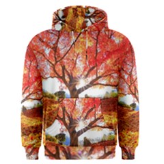 Beautiful Tree Flowers Men s Core Hoodie