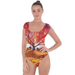 Beautiful Tree Flowers Short Sleeve Leotard  by 1212