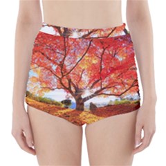 Beautiful Tree Flowers High-waisted Bikini Bottoms by 1212