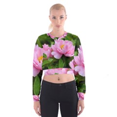 Beautiful Tree Flowers Cropped Sweatshirt