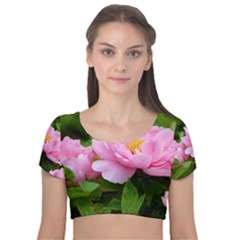 Beautiful Tree Flowers Velvet Short Sleeve Crop Top  by 1212