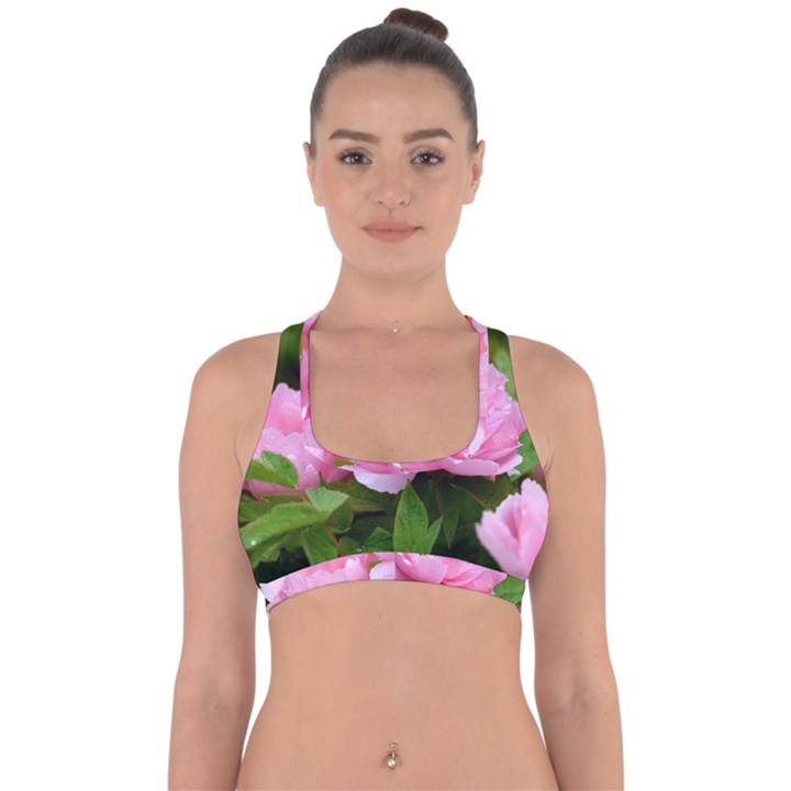 Beautiful tree flowers Cross Back Hipster Bikini Top 