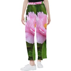 Beautiful Tree Flowers Women s Pants 