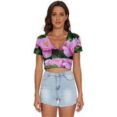 Beautiful Tree Flowers V-neck Crop Top