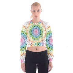 Mandala Pattern Rainbow Pride Cropped Sweatshirt