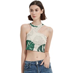 Leaves Monstera Background Cut Out Top