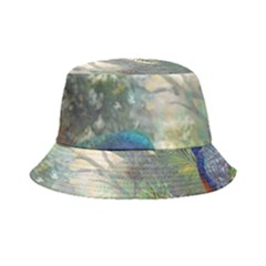 Peafowl Peacock Bird Birds Painting Art Wildlife Bucket Hat by Sarkoni