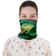 Peacock Bass Fishing Face Covering Bandana (adult) by Sarkoni