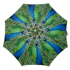 Peafowl Peacock Straight Umbrellas by Sarkoni