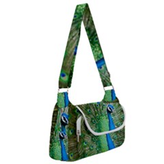 Peafowl Peacock Multipack Bag by Sarkoni