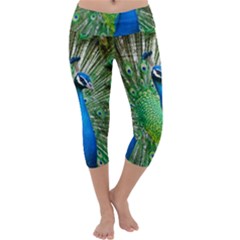 Peafowl Peacock Capri Yoga Leggings by Sarkoni