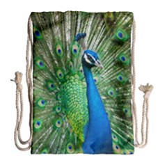 Peafowl Peacock Drawstring Bag (large) by Sarkoni