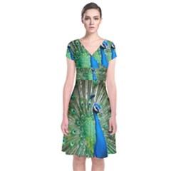 Peafowl Peacock Short Sleeve Front Wrap Dress by Sarkoni