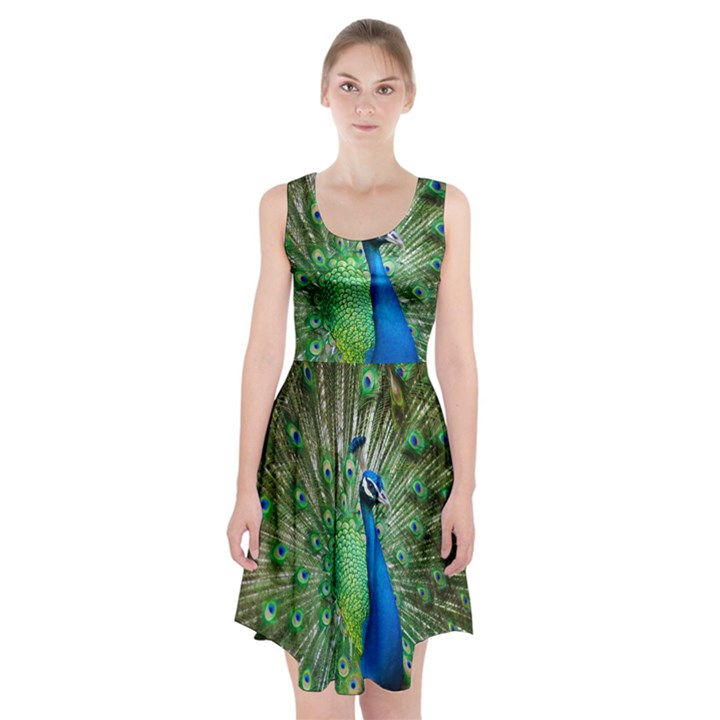 Peafowl Peacock Racerback Midi Dress