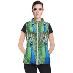 Peafowl Peacock Women s Puffer Vest by Sarkoni