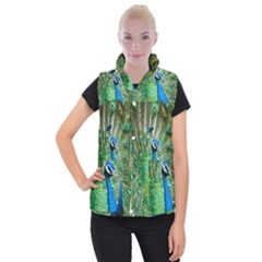 Peafowl Peacock Women s Button Up Vest by Sarkoni