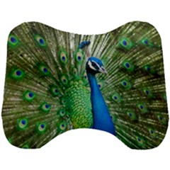 Peafowl Peacock Head Support Cushion by Sarkoni