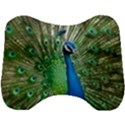 Peafowl Peacock Head Support Cushion View1