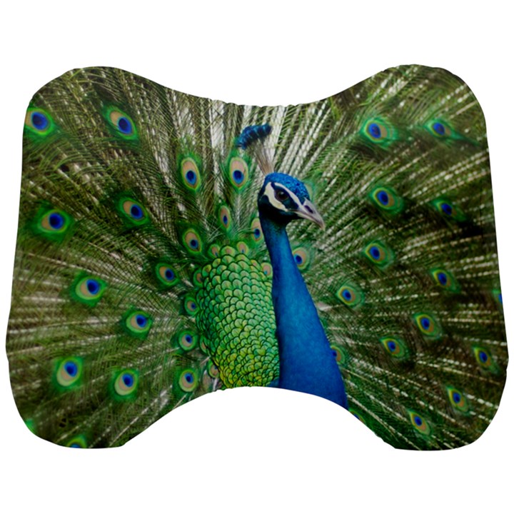 Peafowl Peacock Head Support Cushion