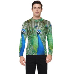 Peafowl Peacock Men s Long Sleeve Rash Guard by Sarkoni