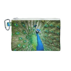 Peafowl Peacock Canvas Cosmetic Bag (medium) by Sarkoni