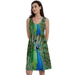 Peafowl Peacock Classic Skater Dress by Sarkoni