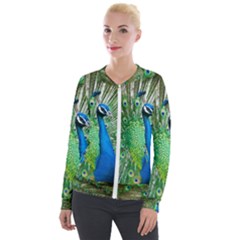 Peafowl Peacock Velvet Zip Up Jacket by Sarkoni