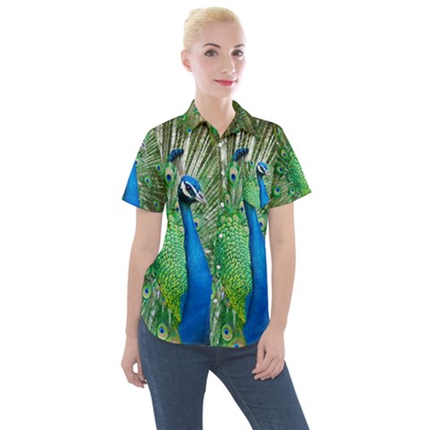 Peafowl Peacock Women s Short Sleeve Pocket Shirt by Sarkoni