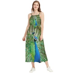 Peafowl Peacock Boho Sleeveless Summer Dress