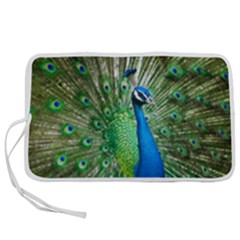 Peafowl Peacock Pen Storage Case (m) by Sarkoni