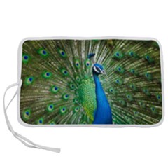 Peafowl Peacock Pen Storage Case (l) by Sarkoni