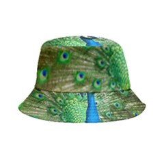 Peafowl Peacock Bucket Hat by Sarkoni